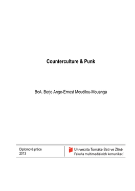 Counterculture & Punk