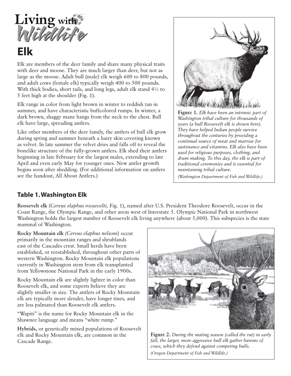 Table 1. Washington Elk Roosevelt Elk (Cervus Elaphus Roosevelti, Fig