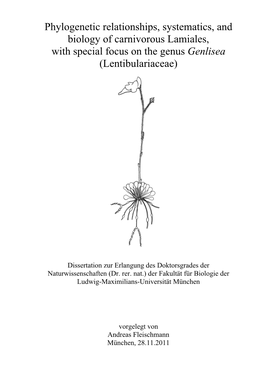 Lentibulariaceae)