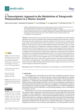 A Transcriptomic Approach to the Metabolism of Tetrapyrrolic Photosensitizers in a Marine Annelid