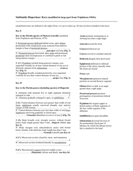 Subfamily Diaperinae: Keys (Modified in Large Part from Triplehorn 1965A) ______