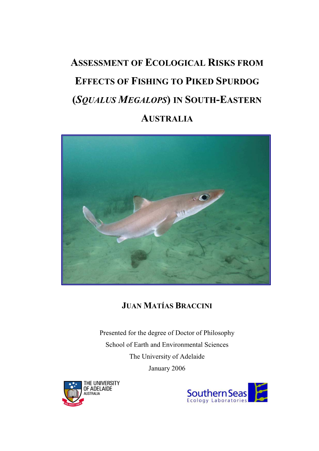 Assessment of Ecological Risks from Effects of Fishing to Piked Spurdog