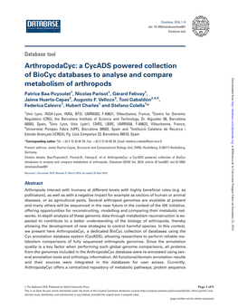 A Cycads Powered Collection of Biocyc Databases to Analyse and Compare Metabolism of Arthropods