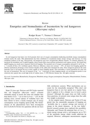 Energetics and Biomechanics of Locomotion by Red Kangaroos (Macropus Rufus)