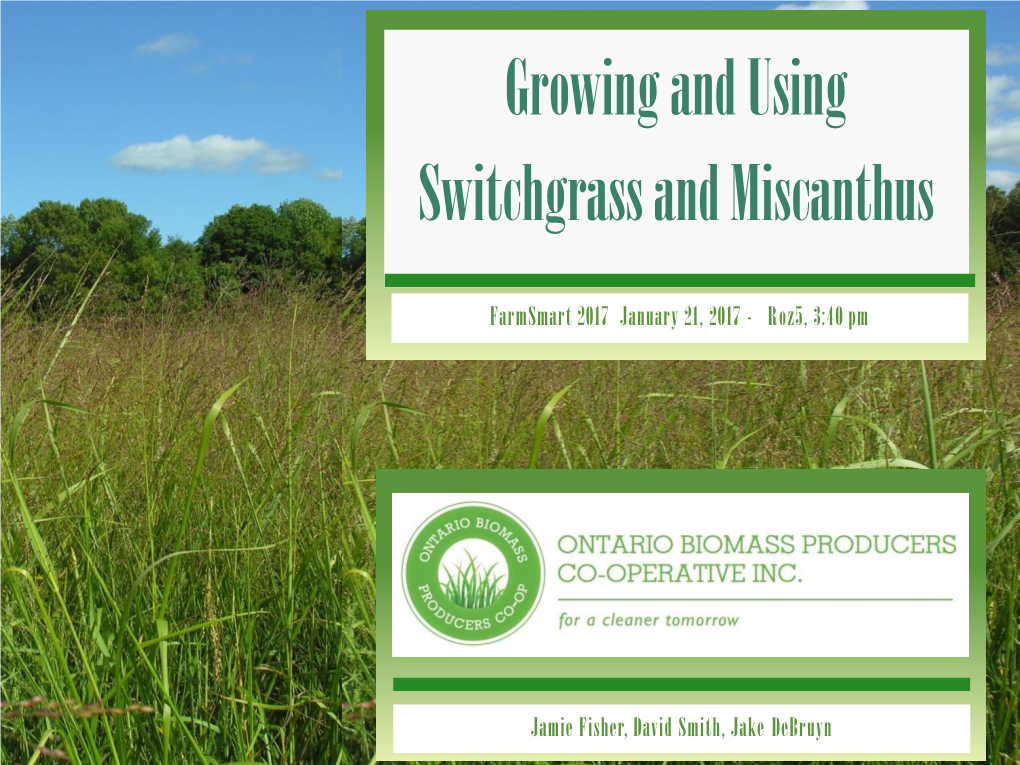 Growing and Using Switchgrass and Miscanthus