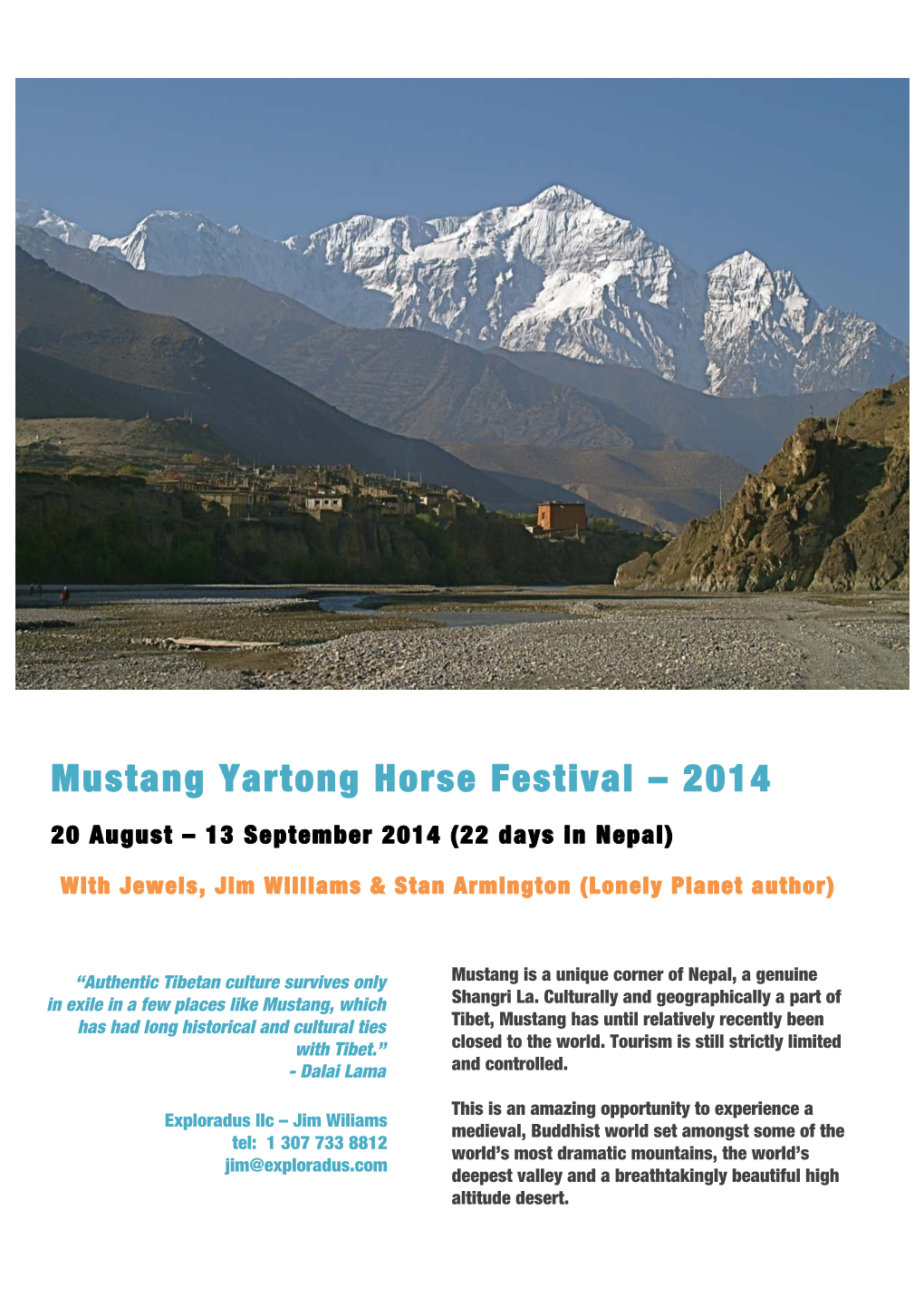 Mustang Brochure Yartong 2014