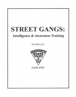 STREET GANGS: Intelligence T& Awareness Training