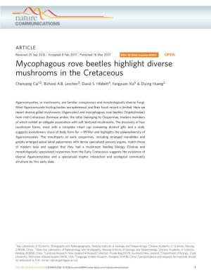 Mycophagous Rove Beetles Highlight Diverse Mushrooms in the Cretaceous