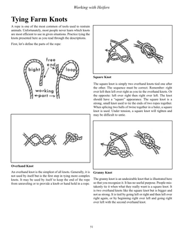 Tying Farm Knots a Rope Is One of the Most Common of Tools Used to Restrain Animals
