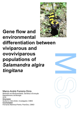 Gene Flow and Environmental Differentiation Between Viviparous and Ovoviviparous Populations of Salamandra Algira Tingitana