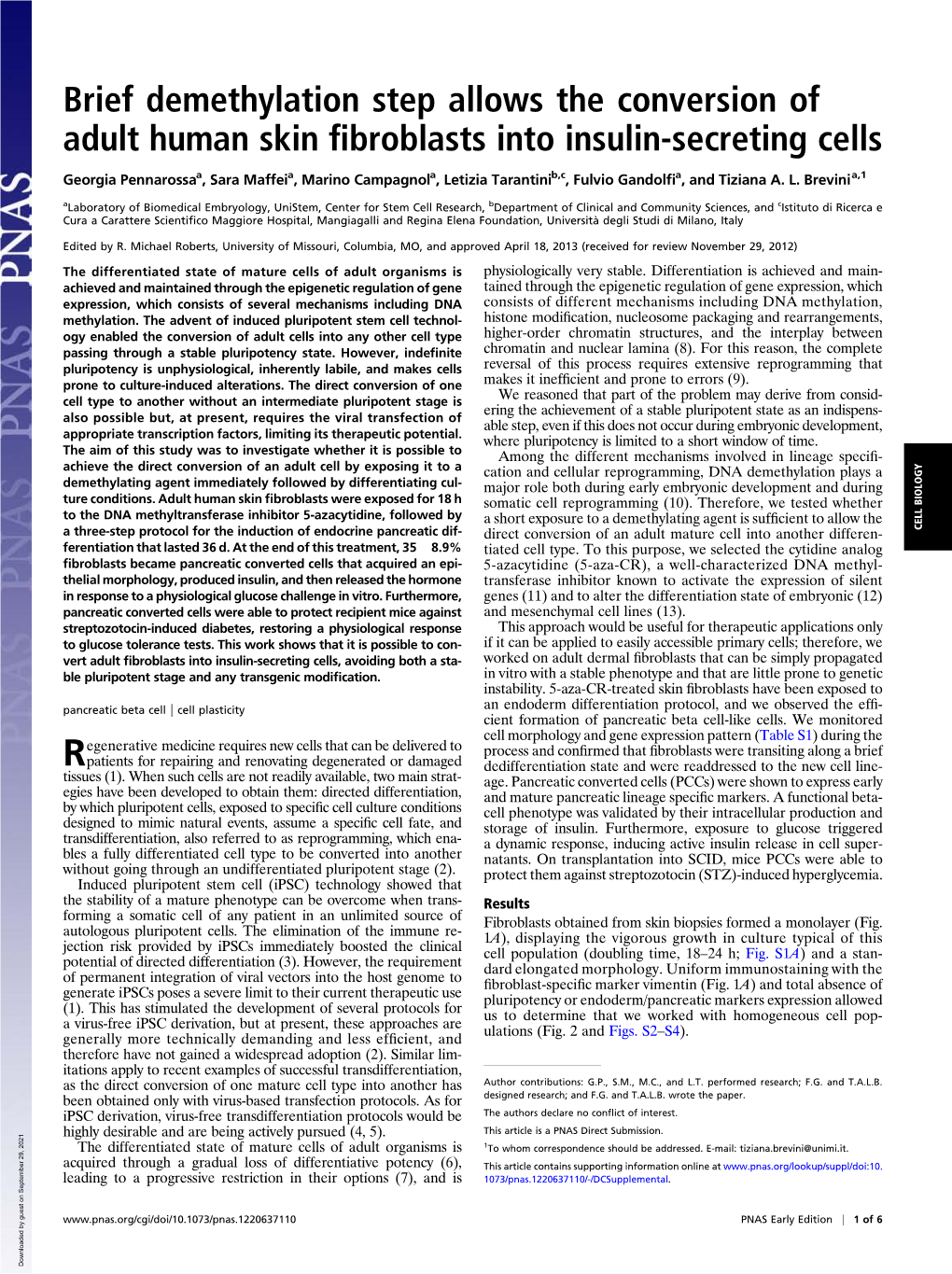 Brief Demethylation Step Allows the Conversion of Adult Human Skin ﬁbroblasts Into Insulin-Secreting Cells