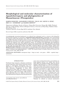 Morphological and Molecular Characterization of Aquaticheirospora and Phylogenetics of Massarinaceae (Pleosporales)