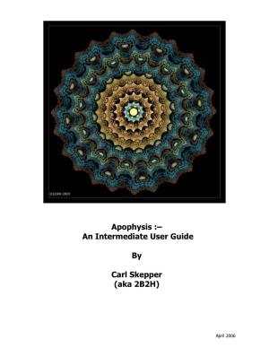 Apophysis :– an Intermediate User Guide