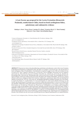 A Late Eocene Age Proposal for the Loreto Formation