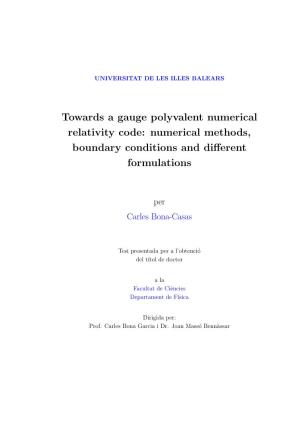 Towards a Gauge Polyvalent Numerical Relativity Code: Numerical Methods, Boundary Conditions and Diﬀerent Formulations