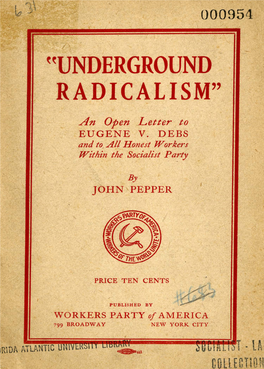((Underground Radicalism"