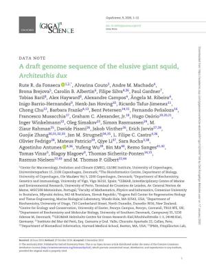 A Draft Genome Sequence of the Elusive Giant Squid, Architeuthis Dux Rute R
