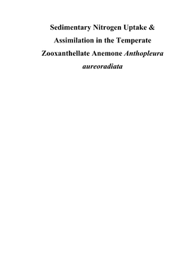 Sedimentary Nitrogen Uptake & Assimilation in the Temperate