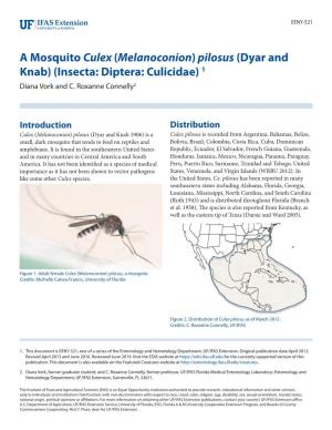 A Mosquito Culex (Melanoconion) Pilosus (Dyar and Knab) (Insecta: Diptera: Culicidae) 1 Diana Vork and C