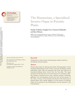 The Haustorium, a Specialized Invasive Organ in Parasitic Plants Satoko Yoshida, Songkui Cui, Yasunori Ichihashi, and Ken Shirasu Ppppppppppppppppppppp643