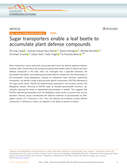 Sugar Transporters Enable a Leaf Beetle to Accumulate Plant Defense Compounds