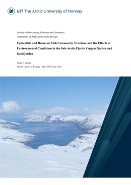 Epibenthic and Demersal Fish Community Structure and the Effects of Environmental Conditions in the Sub-Arctic Fjords Vengsøyfjorden and Kaldfjorden