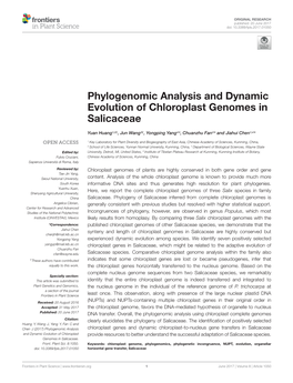 Phylogenomic Analysis and Dynamic Evolution of Chloroplast Genomes in Salicaceae