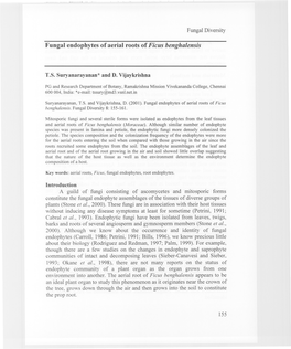 Fungal Endophytes of Aerial Roots of Ficus Benghalensis