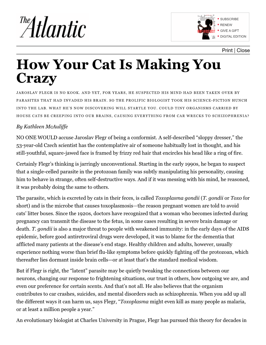 How Your Cat Is Making You Crazy