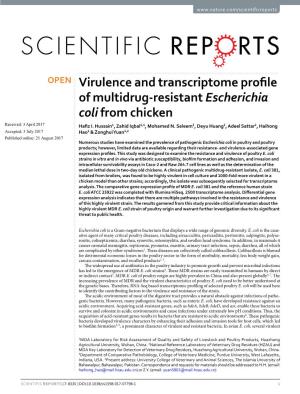 Virulence and Transcriptome Profile of Multidrug-Resistant Escherichia Coli from Chicken Received: 3 April 2017 Hafiz I.Hussain 1, Zahid Iqbal1,4, Mohamed N