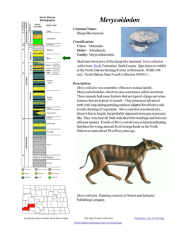 Merycoidodon ROCK ROCK UNIT COLUMN PERIOD EPOCH AGES MILLIONS of YEARS AGO Common Name: Holocene Oahe .01 Sheep-Like Mammal
