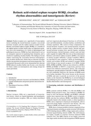 Retinoic Acid-Related Orphan Receptor Rorβ, Circadian Rhythm Abnormalities and Tumorigenesis (Review)