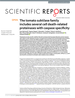 The Tomato Subtilase Family Includes Several Cell Death-Related Proteinases with Caspase Specificity