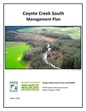 Coyote Creek South Management Plan