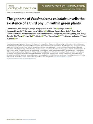 The Genome of Prasinoderma Coloniale Unveils the Existence of a Third Phylum Within Green Plants