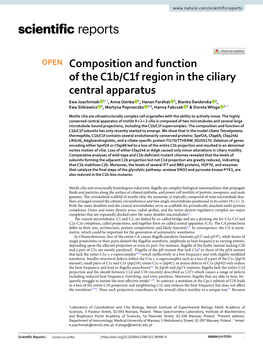 Composition and Function of the C1b/C1f Region in the Ciliary Central