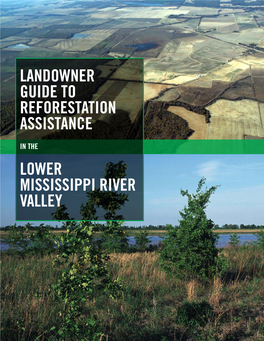 Landowner Guide to Reforestation Assistance