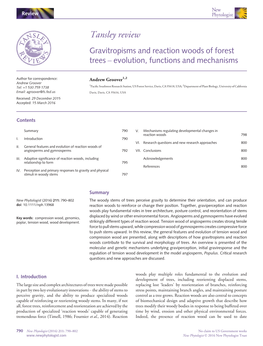 Gravitropisms and Reaction Woods of Forest Trees – Evolution, Functions and Mechanisms