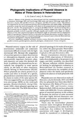 Phylogenetic Implications of Phasmid Absence in Males of Three Genera in Heteroderinae 1 L