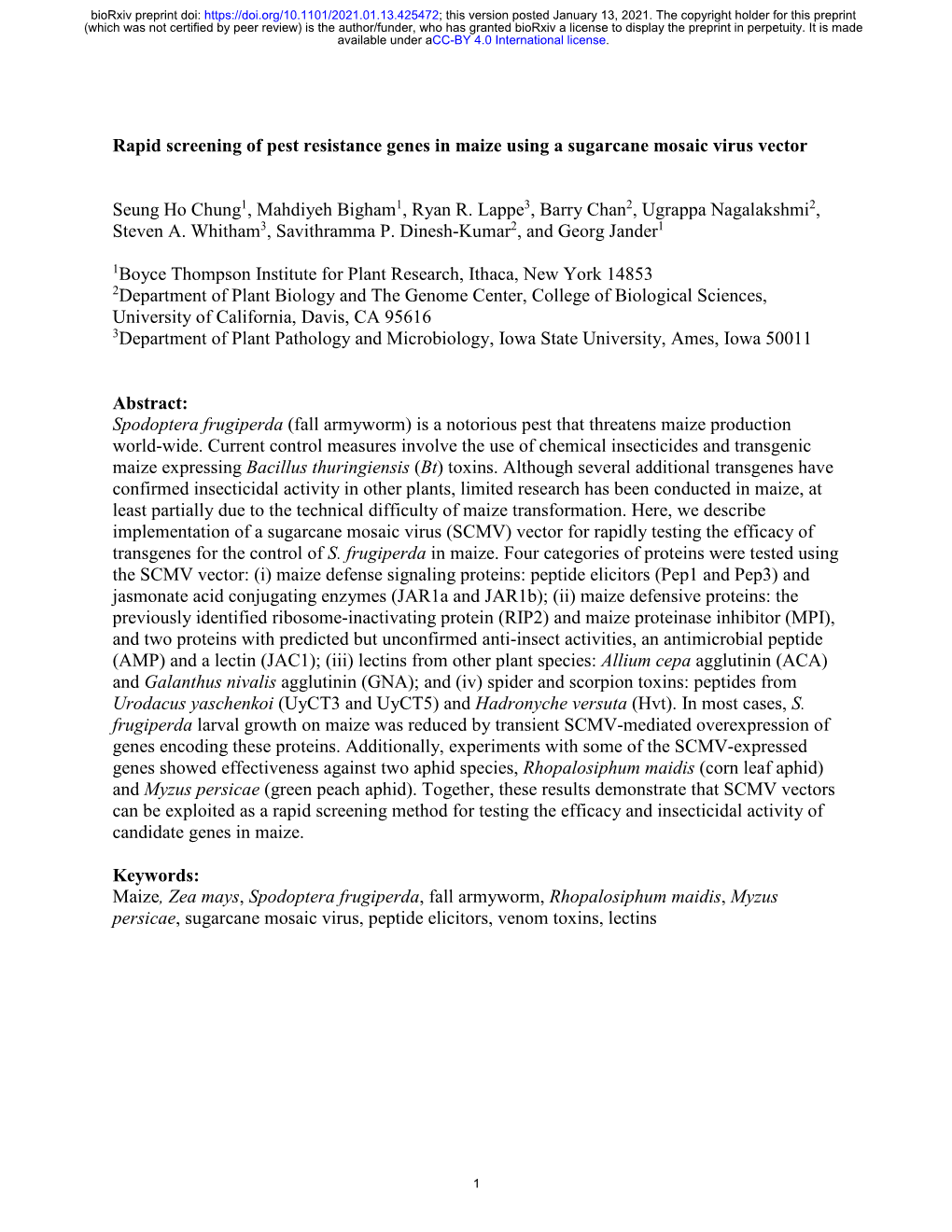 Rapid Screening of Pest Resistance Genes in Maize Using a Sugarcane Mosaic Virus Vector