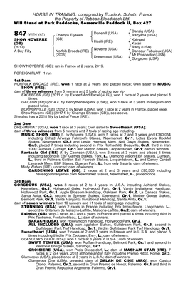 HORSE in TRAINING, Consigned by Ecurie A. Schutz, France the Property of Rabbah Bloodstock Ltd