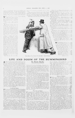 LIFE and DOOM of the HUMMINGBIRD Billrecently Before the British House of Com by Rene Bache - 1 a Which Had Ill 1 the Lords, Pro So Disposed