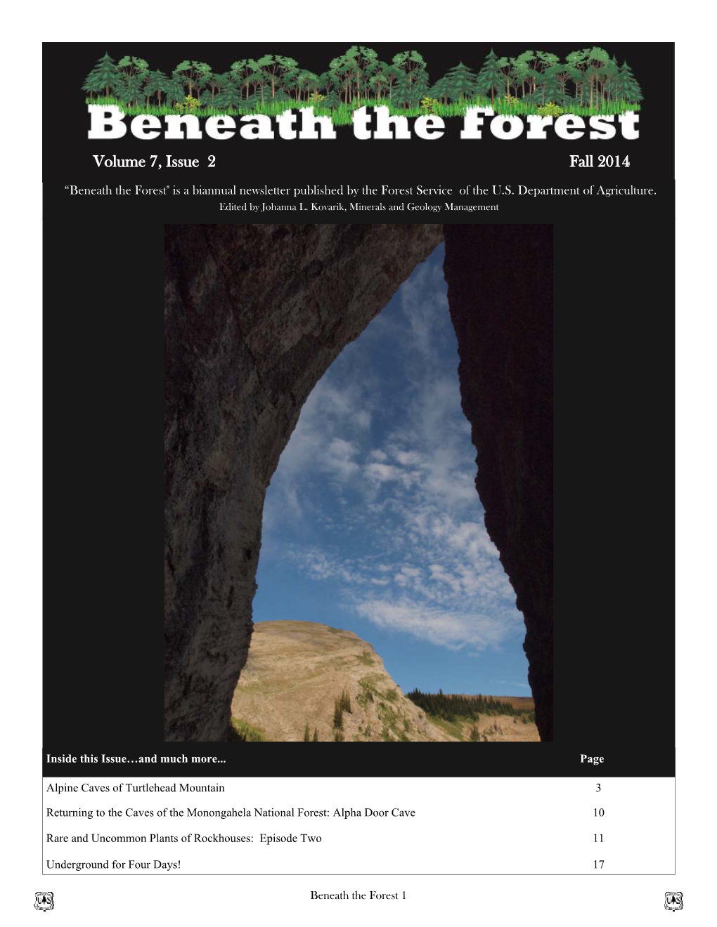 Beneath the Forest Fall 2014