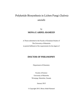 Polyketide Biosynthesis in Lichen Fungi Cladonia Uncialis