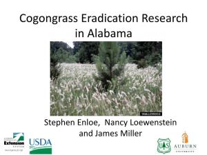 Cogongrass Eradication Research in Alabama