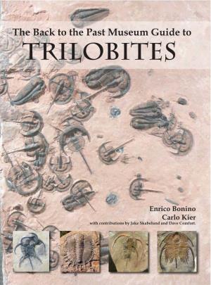 To Named Or Illustrated Trilobites 484