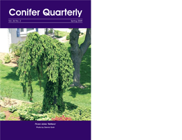 Conifer Quarterly