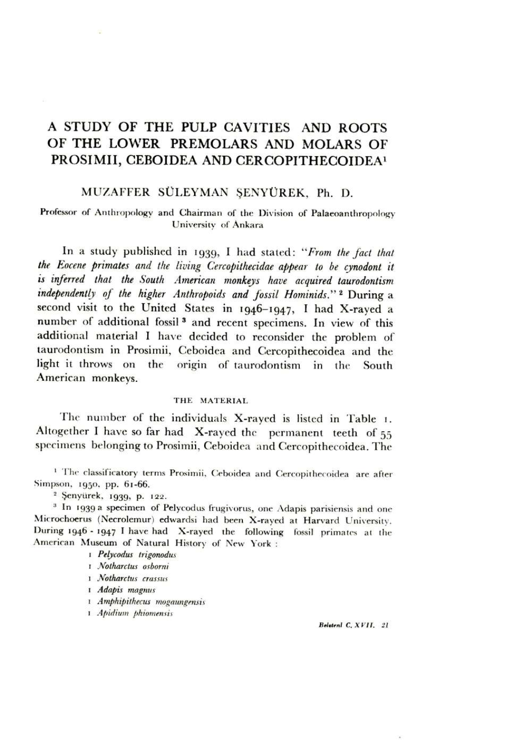 A Study of the Pulp Cavities and Roots of the Lower Premolars and Molars of Prosimii, Ceboidea and Cercopithecoidea1