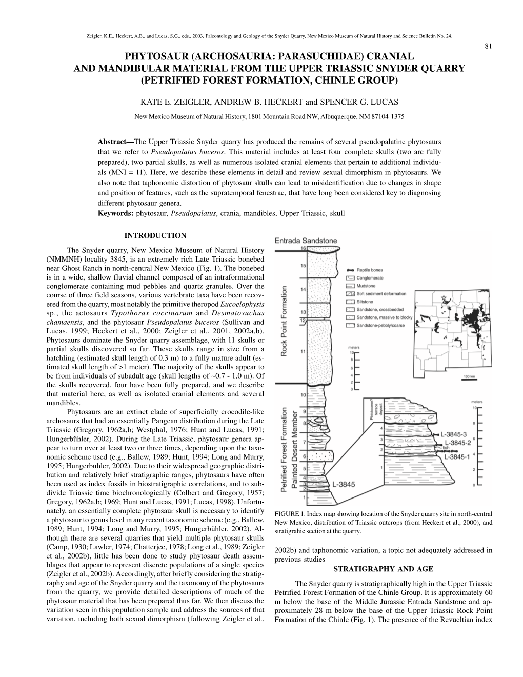 Phytosaur Crania.P65