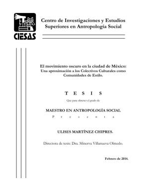 Centro De Investigaciones Y Estudios Superiores En Antropología Social